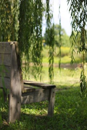 f8c2f0e68feebdaf988f489fb9583cec